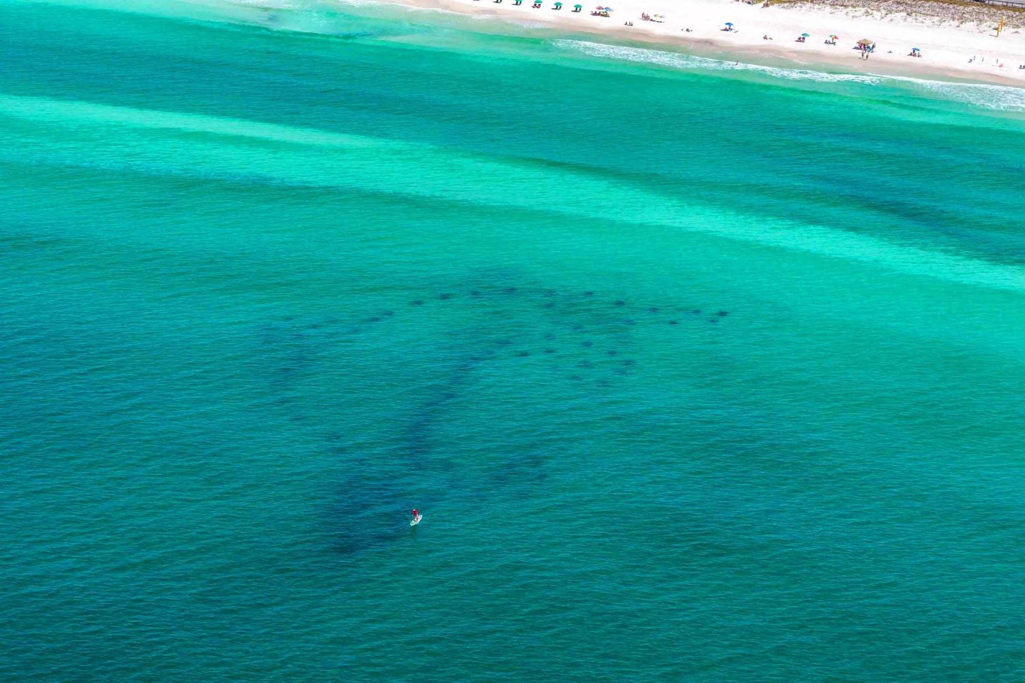 Beach Resort 310 Destin Eksteriør bilde